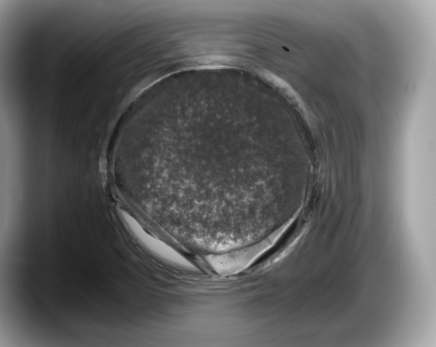 X0000087641457200705311318