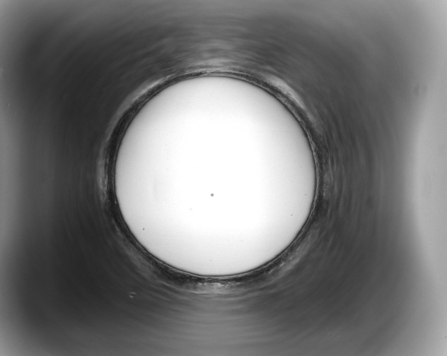 X0000087641458200705311317