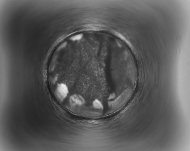 X0000087641459200705311317