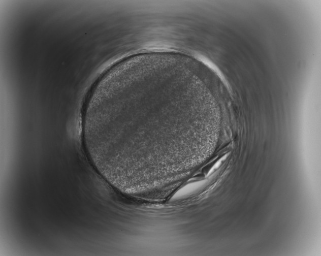 X0000087641461200705311317