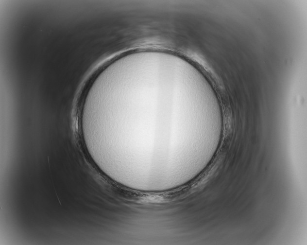 X0000087641462200705311317