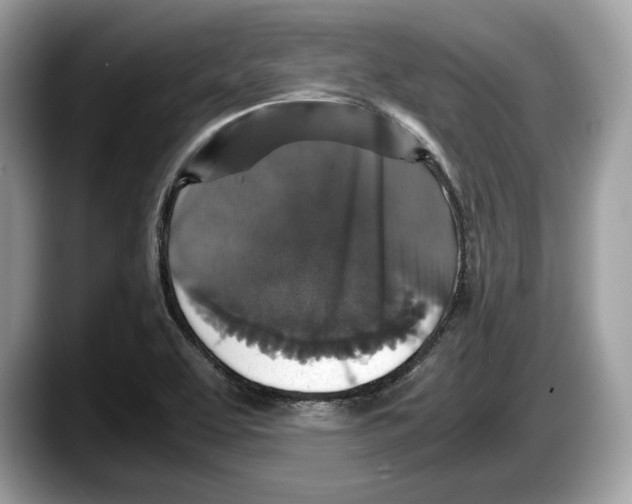 X0000087641463200705311317