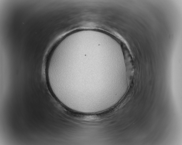 X0000087641464200705311317