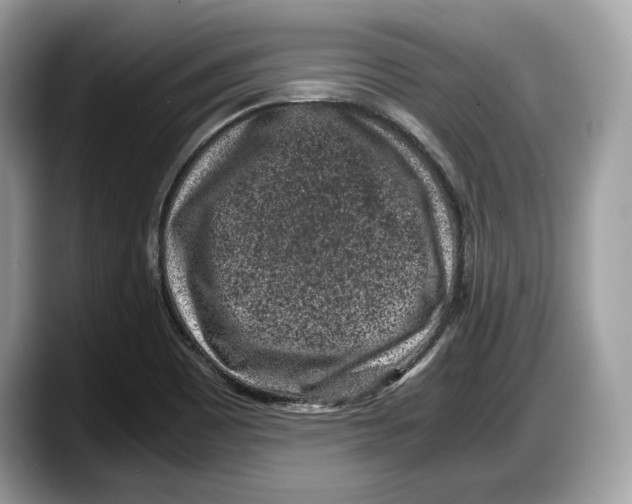 X0000087641465200705311317