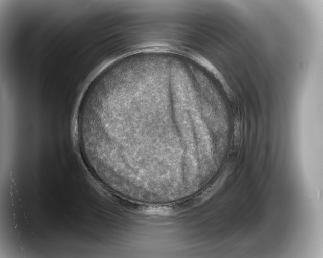 X0000087641466200705311317