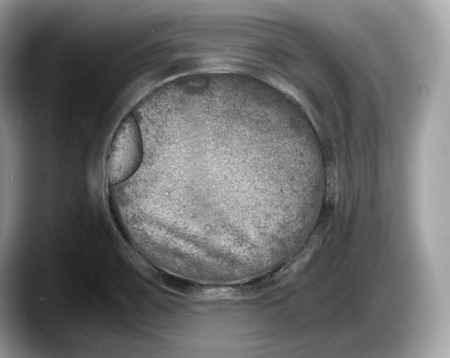 X0000087641467200705311317