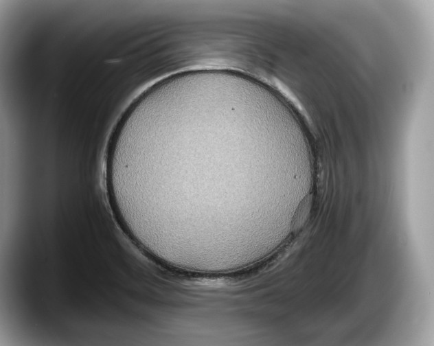 X0000087641468200705311317