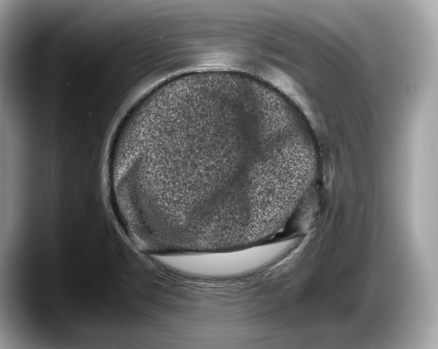 X0000087641469200705311317