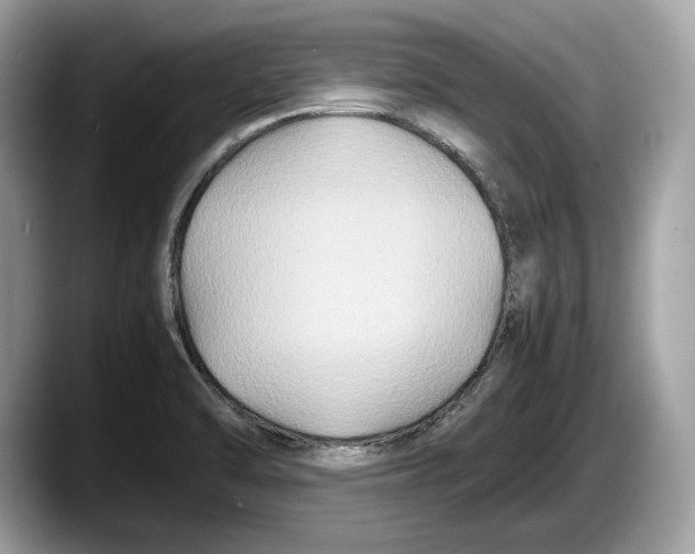 X0000087641470200705311317