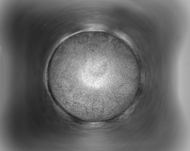 X0000087641471200705311317