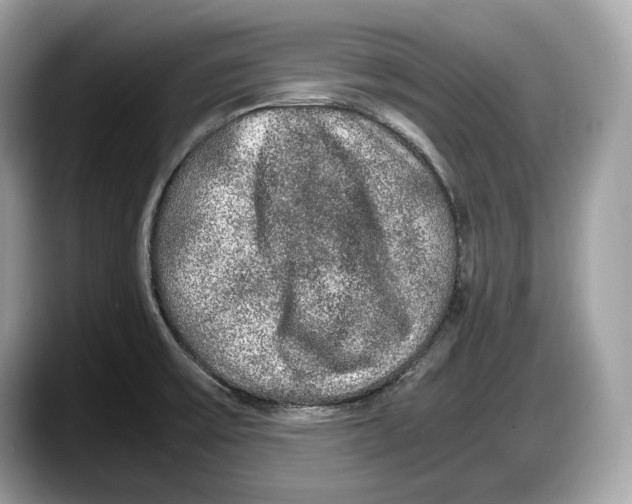 X0000087641475200705311317