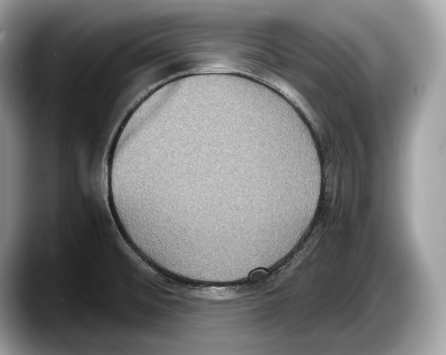 X0000087641476200705311317