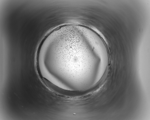 X0000087641477200705311317