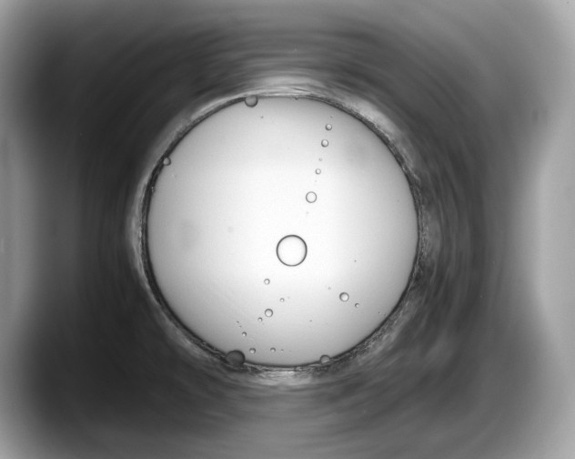 X0000087641478200705311317