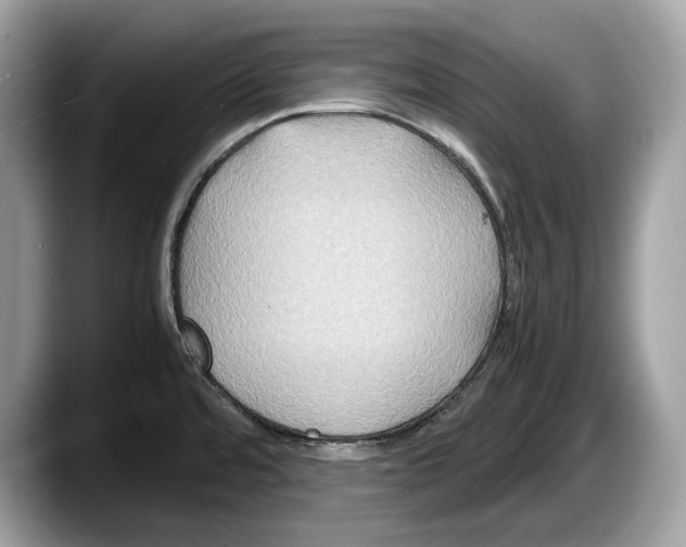 X0000087641480200705311317