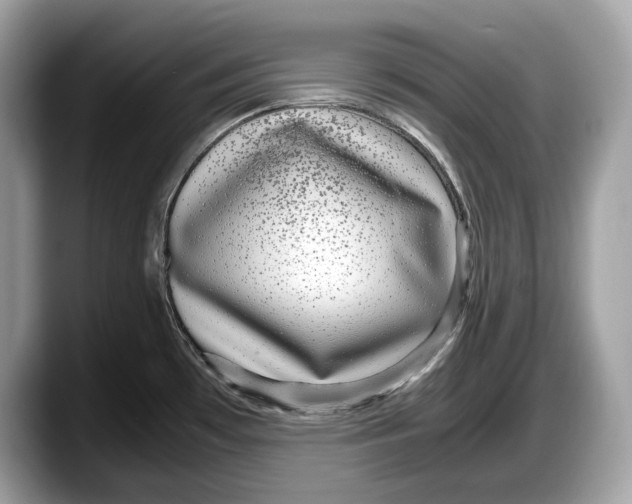 X0000087641481200705311317