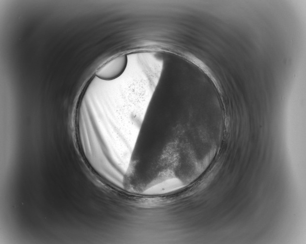 X0000087641482200705311317