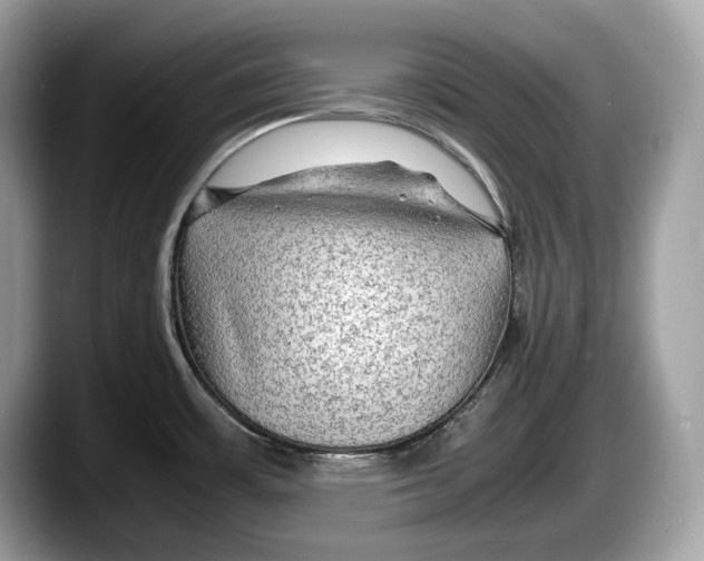 X0000087641483200705311317