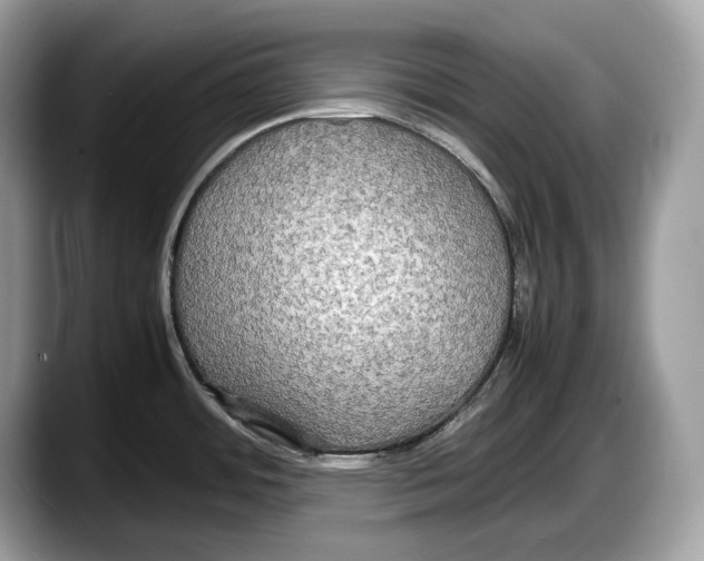 X0000087641484200705311317