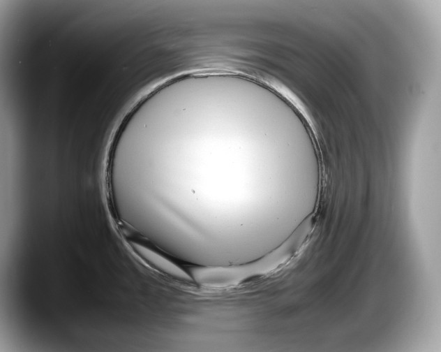 X0000087641485200705311317