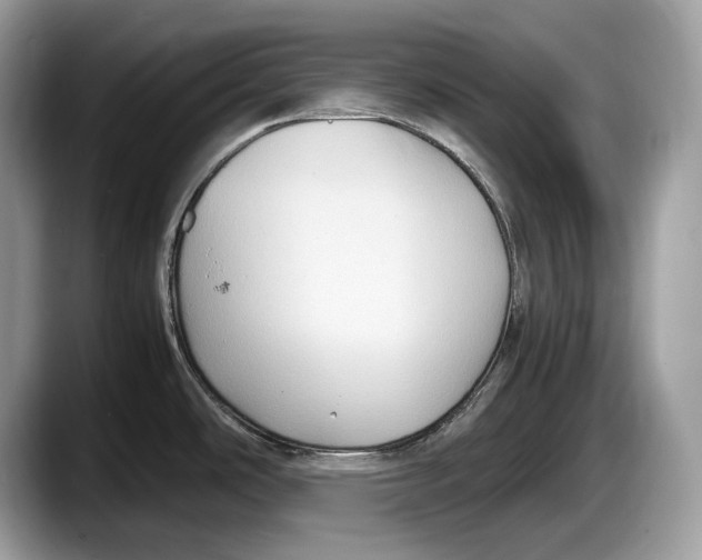 X0000087641486200705311317