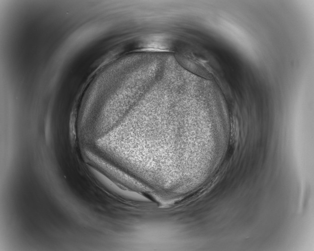 X0000087641487200705311317