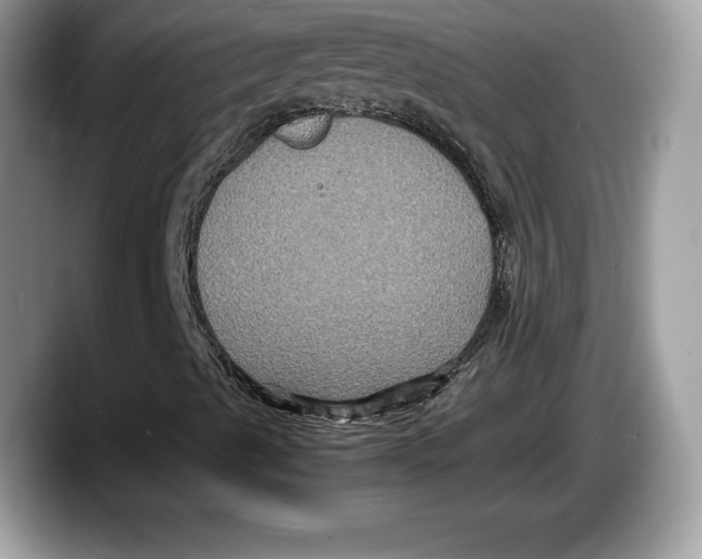 X0000087641489200705311317