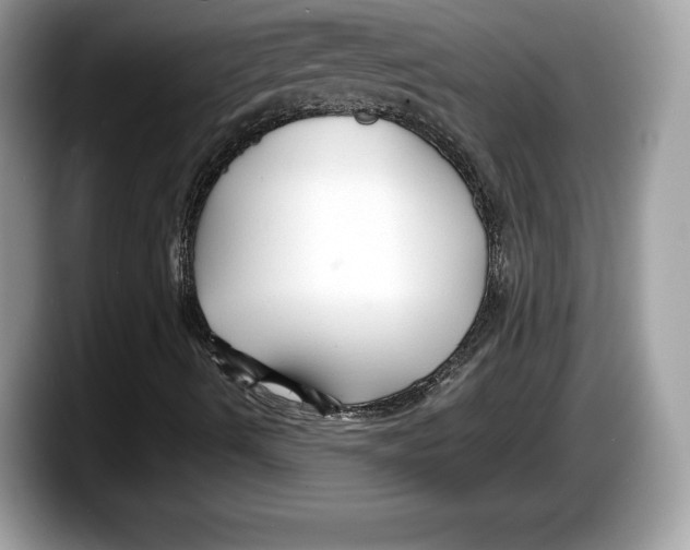 X0000087641490200705311317