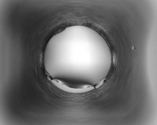 X0000087641492200705311317