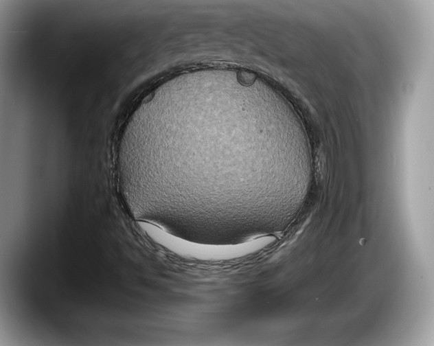 X0000087641494200705311317