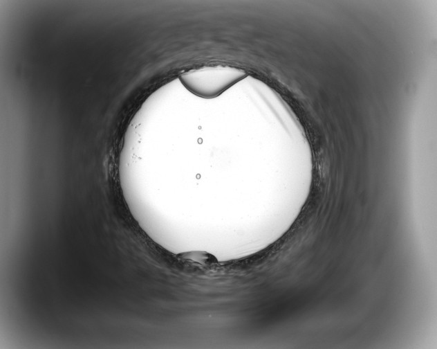 X0000087641495200705311317