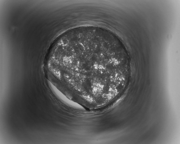 X0000087641497200705311317