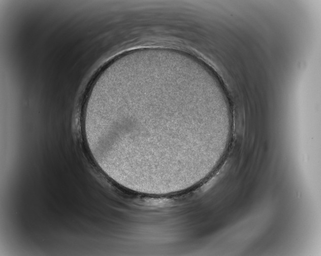 X0000087641498200705311317