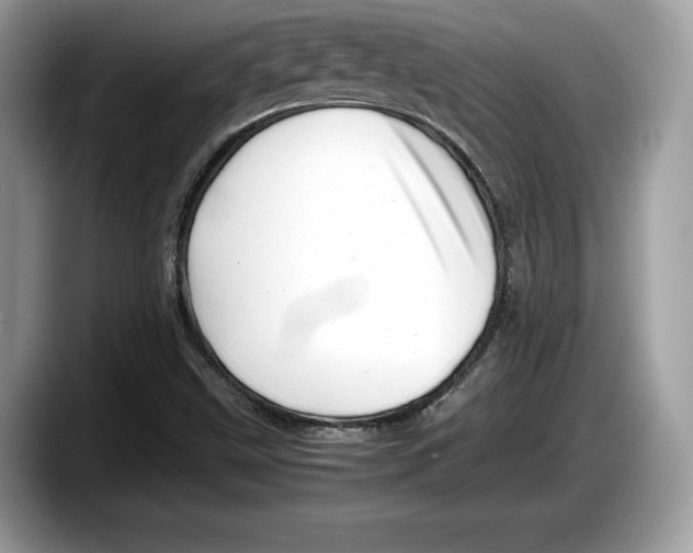 X0000087641499200705311317