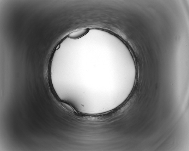 X0000087641500200705311317