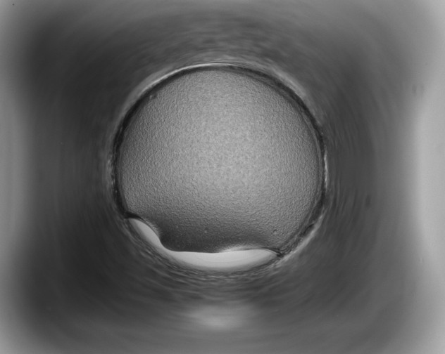 X0000087641501200705311317