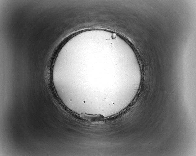 X0000087641503200705311317