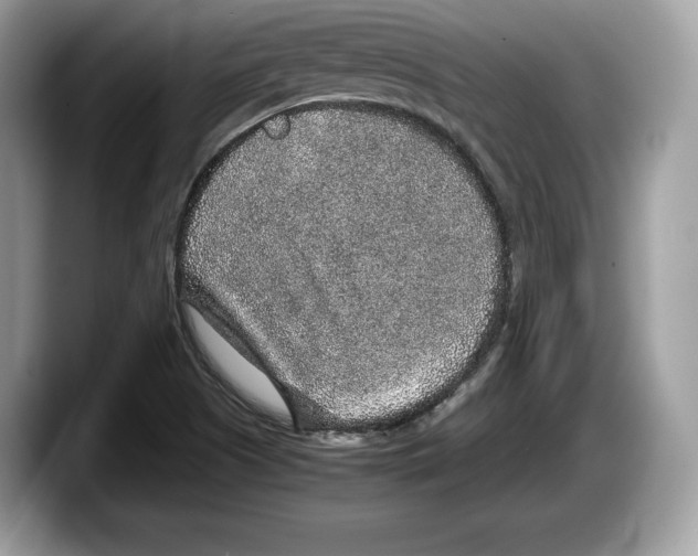 X0000087641505200705311317