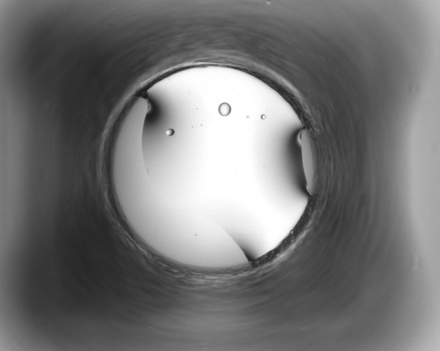 X0000087641506200705311317