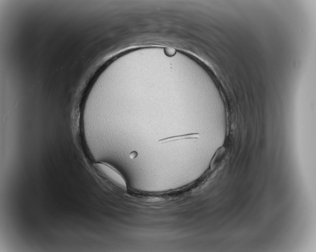 X0000087641507200705311317