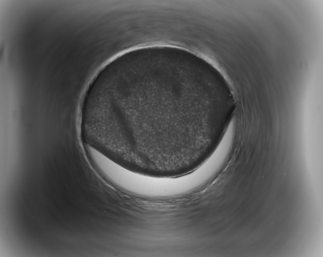 X0000087641508200705311317