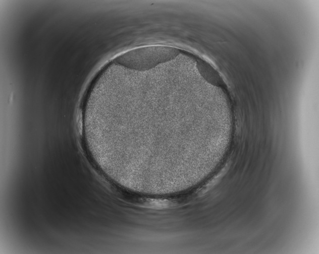 X0000087641509200705311317