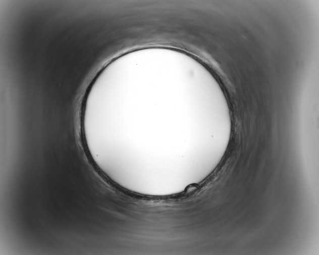 X0000087641512200705311317