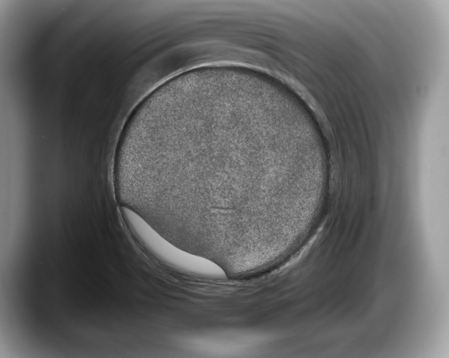 X0000087641513200705311317