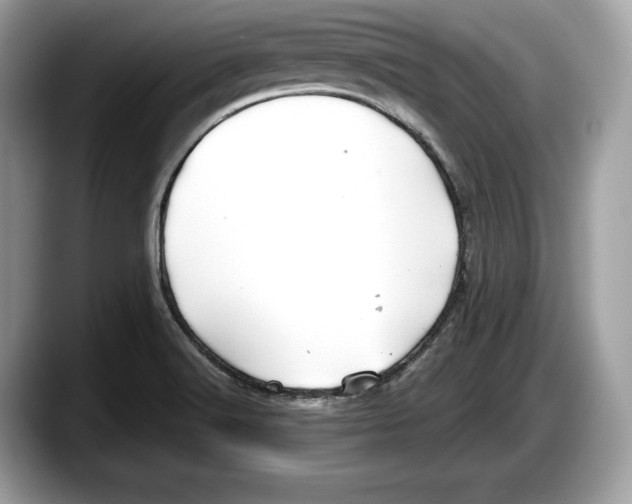 X0000087641516200705311317