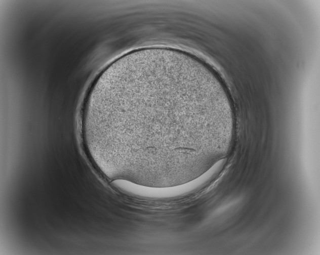 X0000087641517200705311317