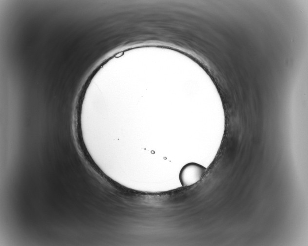 X0000087641518200705311317