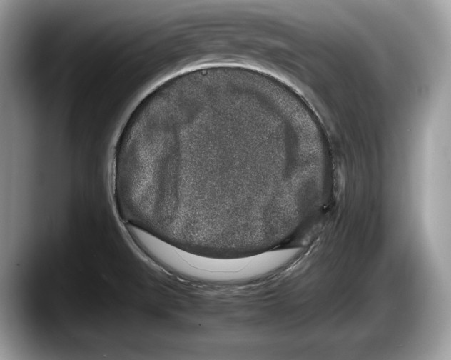 X0000087641519200705311317