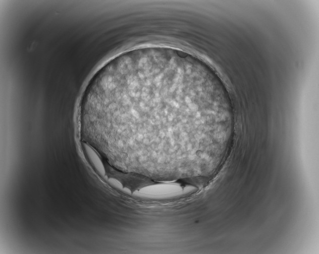 X0000087641522200705311317