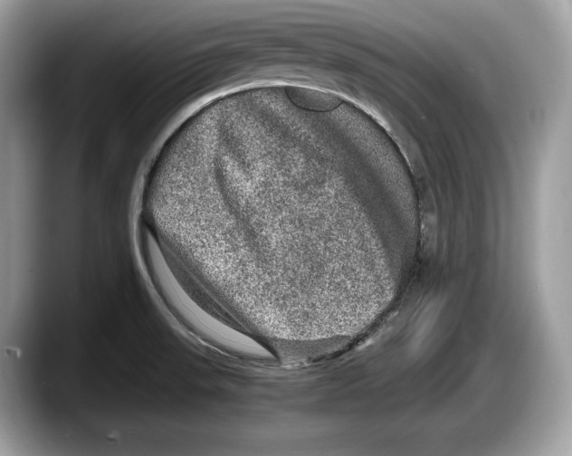 X0000087641523200705311317